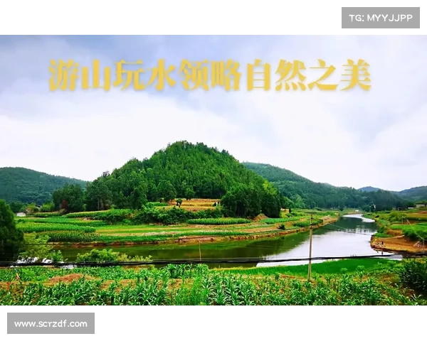 永歌森林探秘之旅五大必游景点全攻略让你领略自然之美 永歌森林探秘之旅五大必游景点全攻略让你领略自然之美