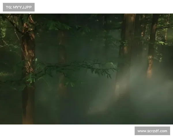 穿越时空的奇幻之旅如何在永歌森林中体验并感受神秘魅力 穿越时空的奇幻之旅如何在永歌森林中体验并感受神秘魅力