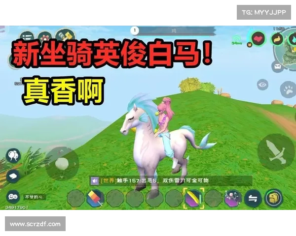 踏上征途如何驾驭英俊白马开启一段充满勇气与奇幻色彩的冒险旅程 踏上征途如何驾驭英俊白马开启一段充满勇气与奇幻色彩的冒险旅程