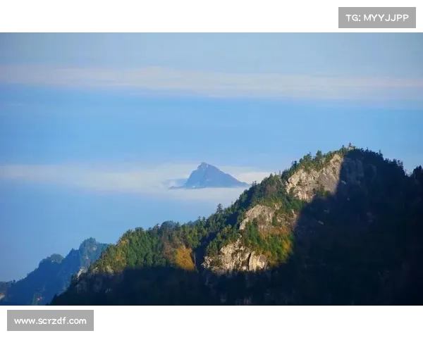 进入朱雀天境前必知的五大关键事项与修炼注意事项