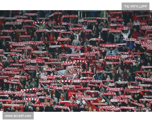 挑战拜仁的德甲最佳战术与技巧分析 如何打破巨人统治