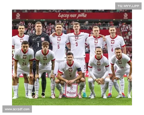 奥地利与瑞士携手举办2008年欧洲杯打造精彩足球盛宴