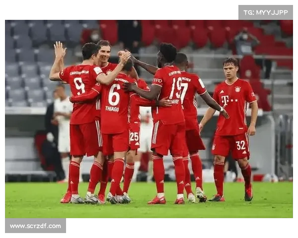 德甲新崛起势力分析：非拜仁球队如何挑战霸主地位